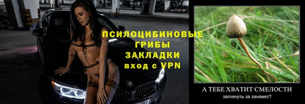 spice Арсеньев
