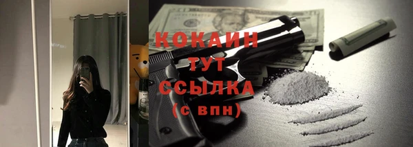 spice Арсеньев