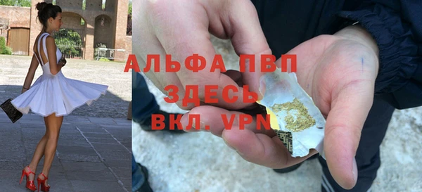 spice Арсеньев